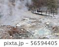 大分・熱泉が湧き出す小松地獄 56594405