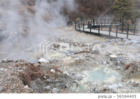 大分・熱泉が湧き出す小松地獄 56594405