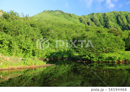 北アルプス笠ヶ岳への道 小池新道 鏡平の風景 ひょうたん池と弓折岳 北アルプス笠ヶ岳への道 小池新道 鏡平の風景 ひょうたん池と弓折岳 56594468