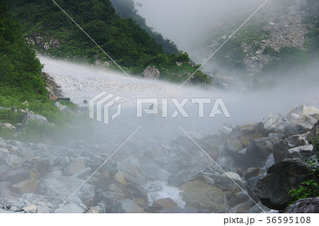 北アルプス笠ヶ岳への道　小池新道　朝靄に覆われる冷気の秩父沢出合 56595108