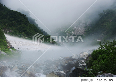 北アルプス笠ヶ岳への道　小池新道　朝靄に覆われる冷気の秩父沢出合 56595109