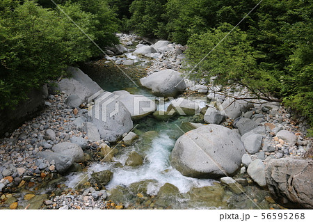 北アルプス笠ヶ岳への道　小池新道　佐俣谷の清流 56595268