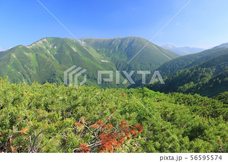 北アルプス笠ヶ岳への道　縦走路から双六岳を望む　右奥には鷲羽岳遠景 56595574