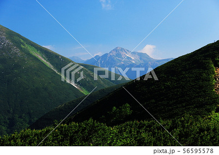 北アルプス笠ヶ岳への道　縦走路から双六岳稜線越しの鷲羽岳遠景 56595578
