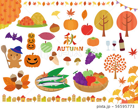 秋　Autumn　セット　素材　イラスト 56595773