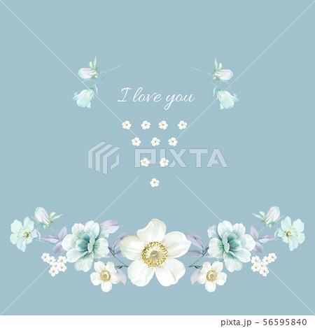 透明水彩 水彩画 花 56595840