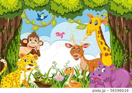 Cute Animals In Jungleのイラスト素材