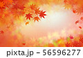 背景-和-和風-和柄-和紙-紅葉-秋 56596277