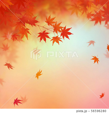 背景 和 和風 和柄 和紙 紅葉 秋のイラスト素材
