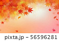 背景-和-和風-和柄-和紙-紅葉-秋 56596281