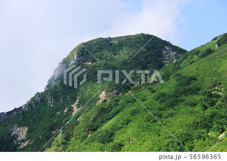 北アルプス笠ヶ岳への道 縦走路から大ノマ岳小ピークを望む 北アルプス笠ヶ岳への道 縦走路から大ノマ岳小ピークを望む 56596365