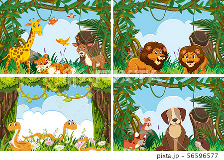 Set of various animals in nature scenes Set of various animals in nature scenes 56596577