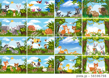 Set of various animals in nature scenes Set of various animals in nature scenes 56596798