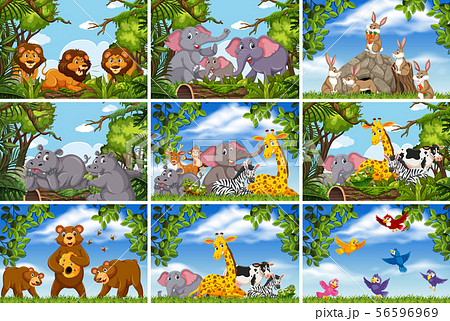 Set of various animals in nature scenes Set of various animals in nature scenes 56596969