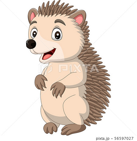 Cartoon happy hedgehog standing  56597027