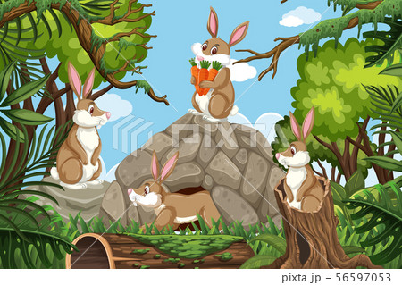Rabbits In Jungle Sceneのイラスト素材 Rabbits In Jungle Sceneのイラスト素材