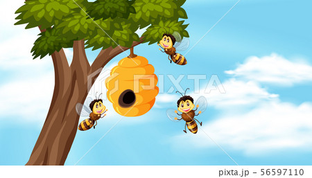 Sky background with bees and beehive on tree Sky background with bees and beehive on tree 56597110