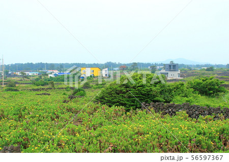 雲 快晴 景色 56597367