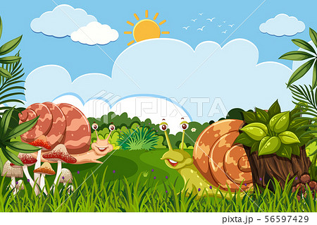 Snails in woods scene Snails in woods scene 56597429