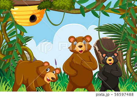 Bears in jungle scene Bears in jungle scene 56597488
