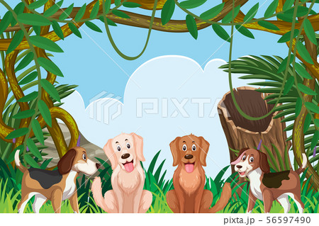 Dogs in jungle scene Dogs in jungle scene 56597490