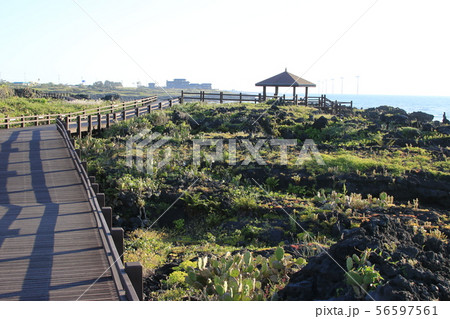 雲 快晴 景色 56597561