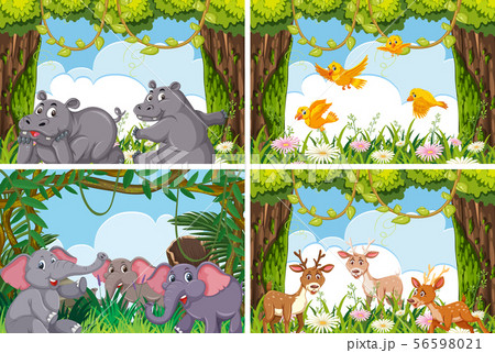 Set of various animals in nature scenes 56598021