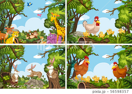 Set of various animals in nature scenes 56598357