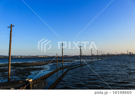 江川海岸　海中電柱 56598660