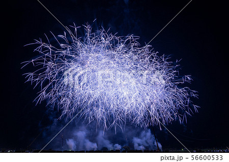 ふくろい遠州の花火2019 ふくろい遠州の花火2019 56600533