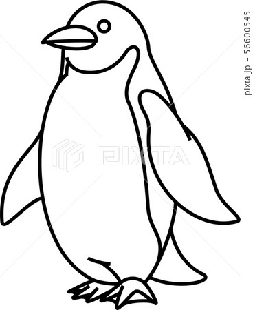 ペンギン ペンギン 56600545