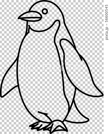 ペンギン ペンギン 56600545