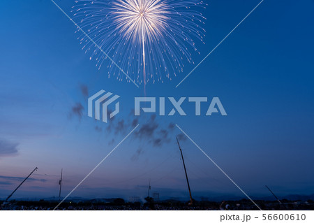 ふくろい遠州の花火２０１９ 56600610