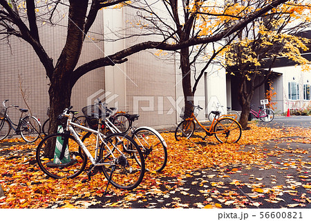 Bicycle in Autumn season at Park 56600821