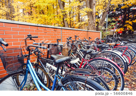 Bicycle in Autumn season at Park 56600846