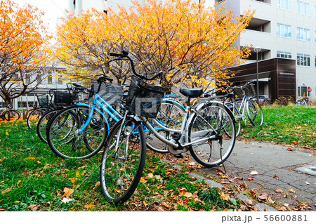 Bicycle in Autumn season at Park 56600881