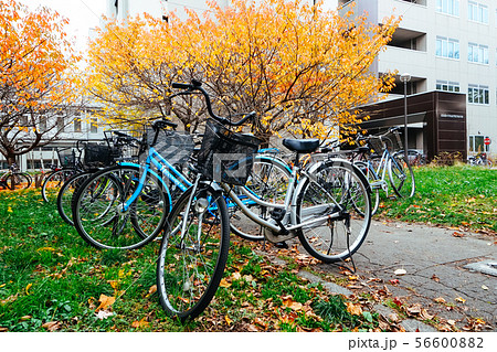 Bicycle in Autumn season at Park 56600882