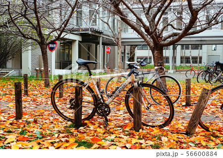 Bicycle in Autumn season at Park 56600884