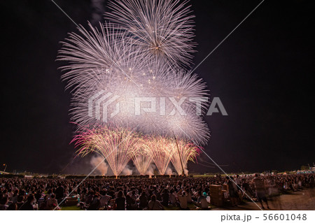 ふくろい遠州の花火2019 ふくろい遠州の花火2019 56601048