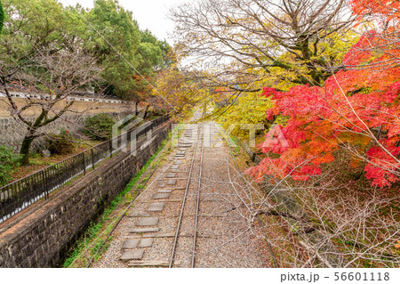 秋の京都蹴上インクライン 56601118