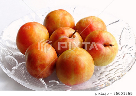 ソルダム 56601269