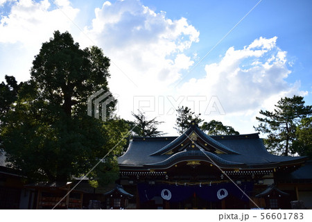 辛国神社 56601783