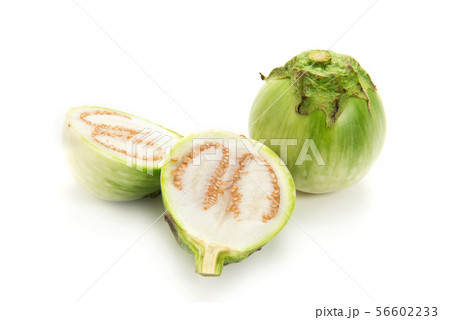 タイ茄子 タイ茄子 56602233