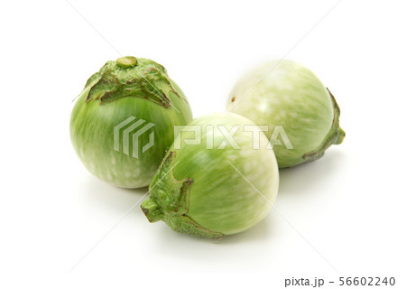 タイ茄子 56602240