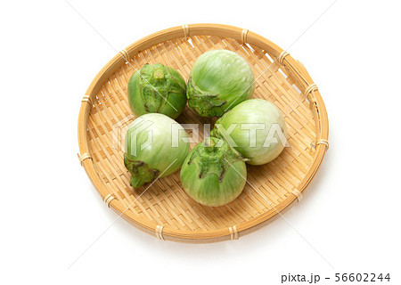 タイ茄子 タイ茄子 56602244