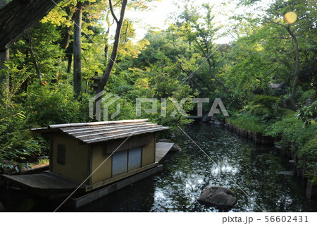 東京都港区南青山にある根津美術館の庭園内の池に浮かぶ小舟 東京都港区南青山にある根津美術館の庭園内の池に浮かぶ小舟 56602431