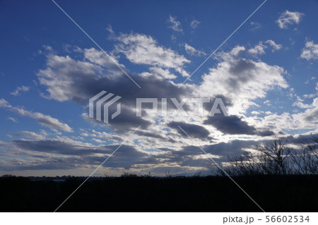 公園 公園 56602534