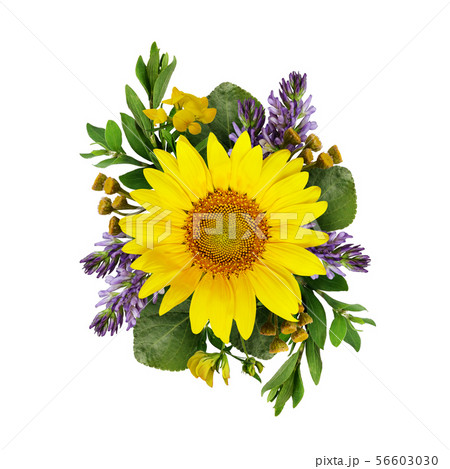 Sunflowers and wild flowers bouquet Sunflowers and wild flowers bouquet 56603030