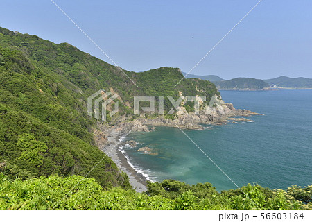 【三重県 奥志摩】五ヵ所湾の景観 【三重県 奥志摩】五ヵ所湾の景観 56603184