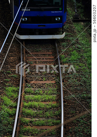 緑のある線路 都電荒川線 千登世橋 緑のある線路 都電荒川線 千登世橋 56603207